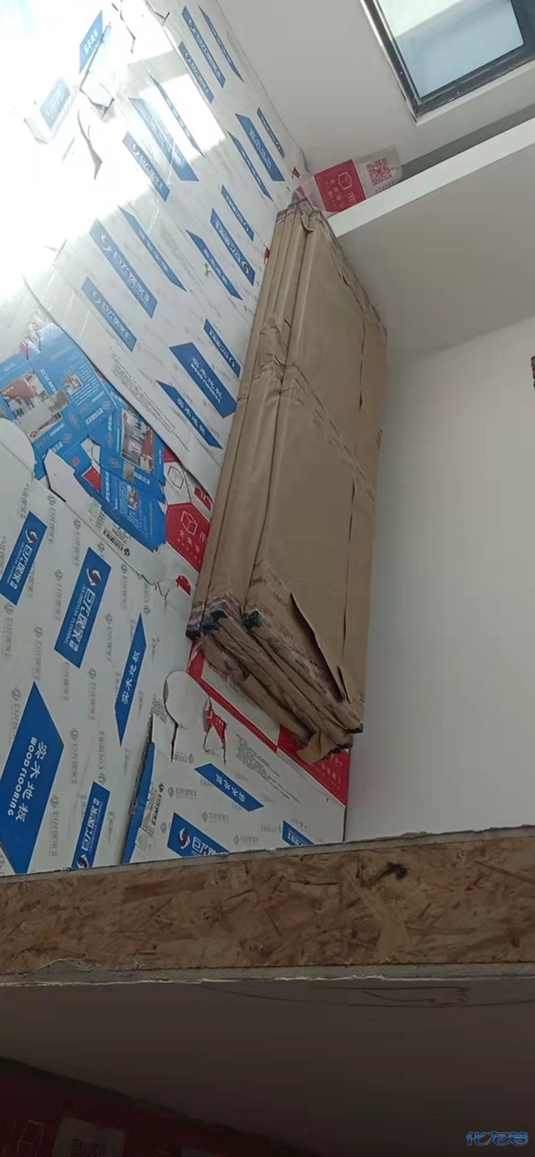 1698140238190391.jpg